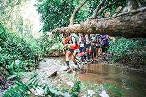 BIB: 
                            <button type="button" onclick="openModal(25516914)" class="btn btn-primary btn-sm float-right btn-popup" data-toggle="modal" data-target=".modal-high-quality">
                        <i class="fas fa-shopping-cart"></i> Add to Cart
                    </button>
                                            <button type="button" onclick="isThisMe(25516914, true)" class="btn btn-success btn-sm float-right btn-popup btn-isme hidden" data-toggle="tooltip" data-placement="bottom" title="นี่คือรูปของคุณใช่ไหม คลิกที่นี่เพื่อเอาเข้าอัลบั้ม">
                        <i class="fas fa-plus"></i> Add to album
                    </button>
                    <button type="button" onclick="isThisMe(25516914, false)" class="btn btn-warning btn-sm float-right btn-popup btn-isnotme hidden">
                        <i class="fas fa-ban"></i> Remove from album
                    </button>